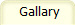  Gallary